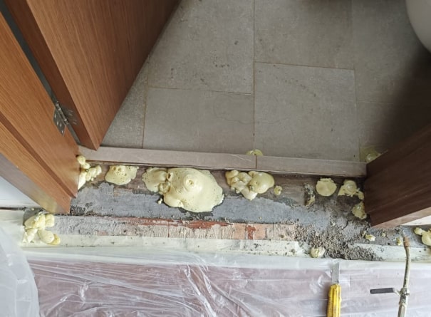 Project A: Phase 2